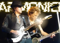 armonici artificiali leva vibrati riff chitarra elettrica lezioni di chitarra imparare suonare chitarra